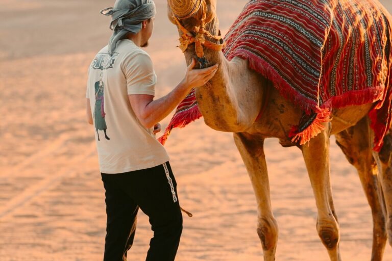 ibrahim-guetar-OlEF4W-yCe4-unsplash_1_cropped