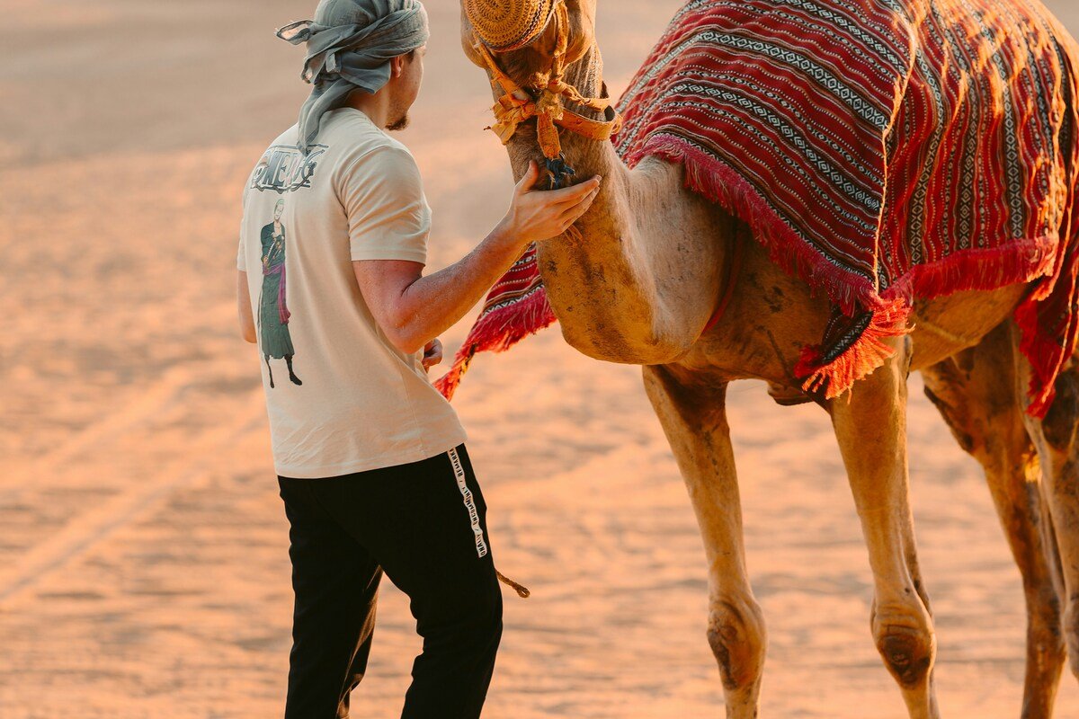 ibrahim-guetar-OlEF4W-yCe4-unsplash_1_cropped